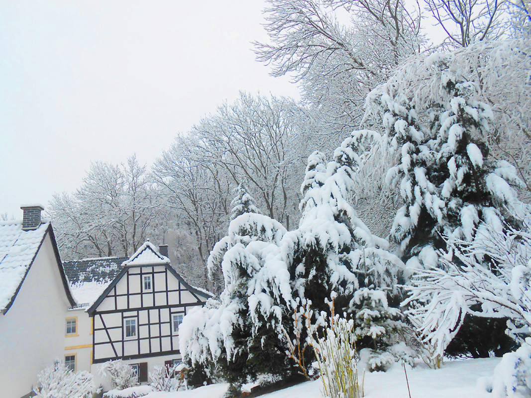 Die Johannismühle im Winter